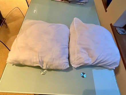 Photo of free 4 cushion pads (Gosforth NE3) #1