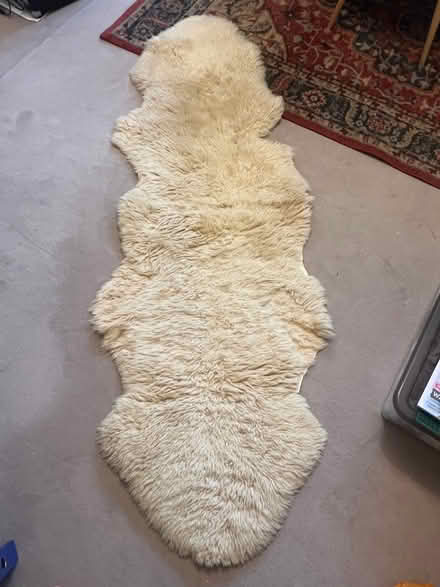 Photo of free Double sheepskin rug (Weybridge KT13) #1