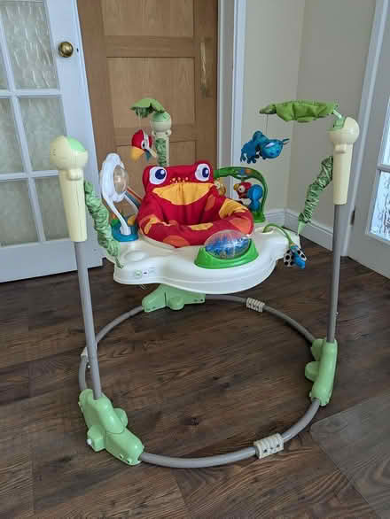 Photo of free Fisher Price rainforest jumperoo (Haywards Heath, RH16) #1