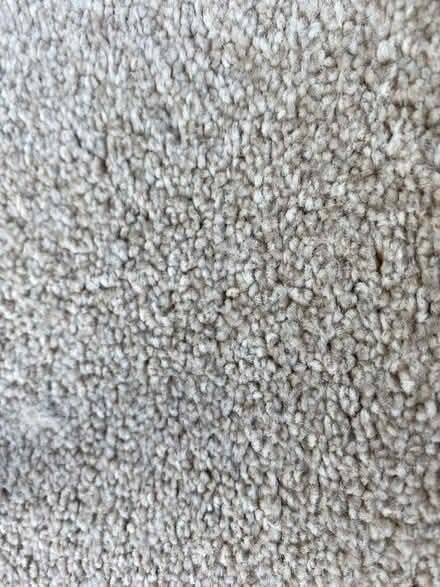 Photo of free Piece of carpet (G74) #2