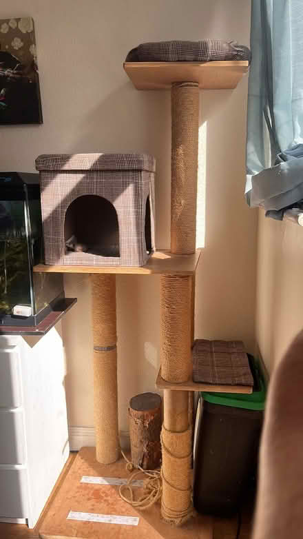 Photo of free Cat tree (Bushey, WD23) #1