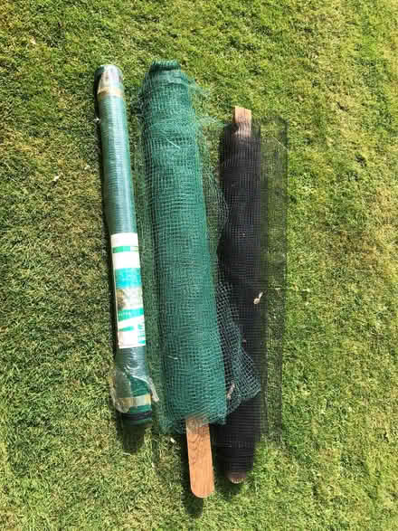 Photo of free Garden netting (King's Hedges Ward CB4) #1