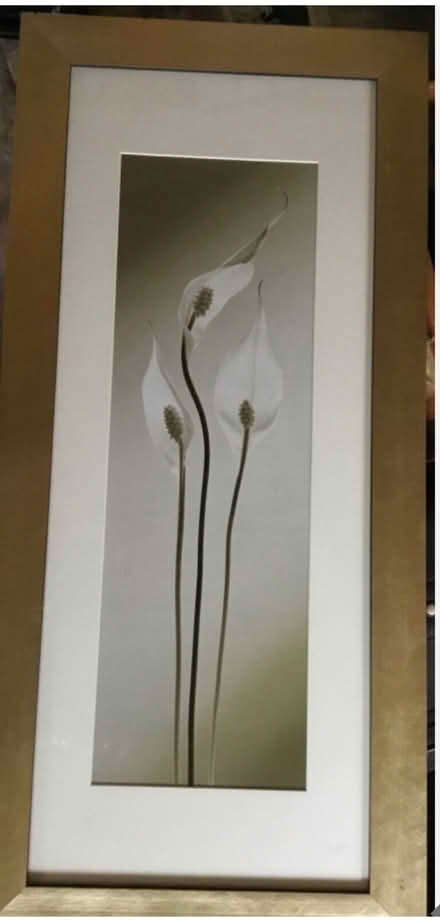 Photo of free Two large pictures. 12 x 30 inches each (Stretton DE55) #3