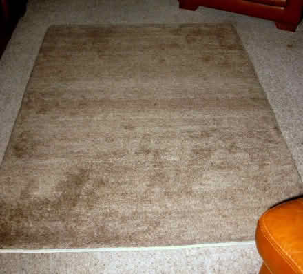 Photo of free Brown rug (Pity Me DH1) #1