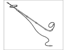 Photo of free 1986-89 Honda Accord radio antenna (Petaluma West Side) #1