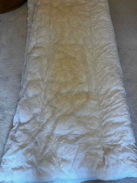 Photo of free Duvet (SW3) #1