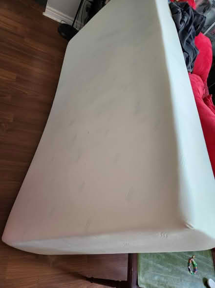 Photo of free Twin foam mattress - firm clean (Bayview and Wellington) #1