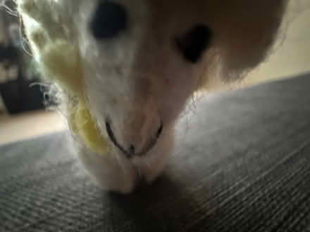 Photo of free Small sheep keyring (Fairfield LA1) #2