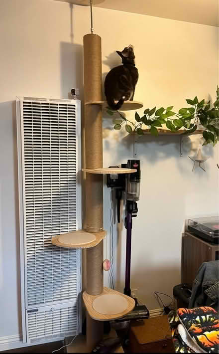 Photo of free Cat tree (West Hollywood, CA) #1