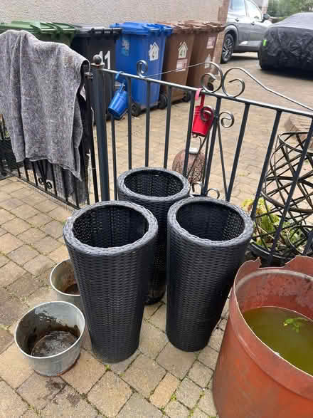 Photo of free Black Rattan Plant holders (Alva FK12) #1