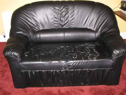 Photo of free Sofa (Carlisle CA1) #3