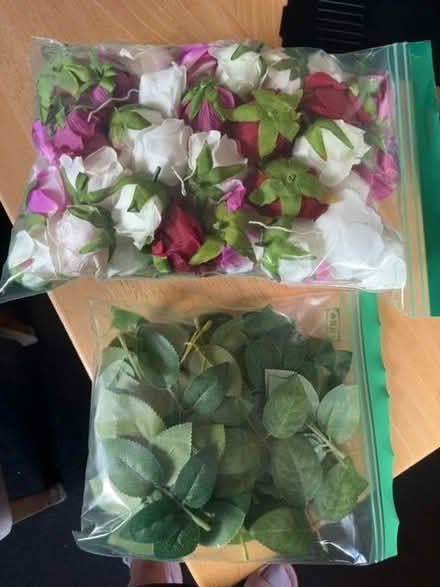 Photo of free Flowers, (NW10) #2