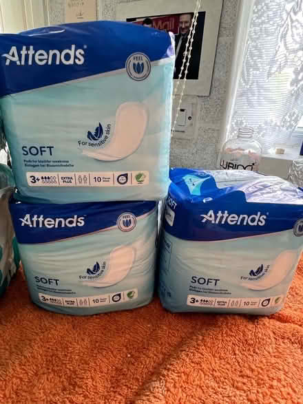 Photo of free Dry Pads (Redhill Surrey) #3