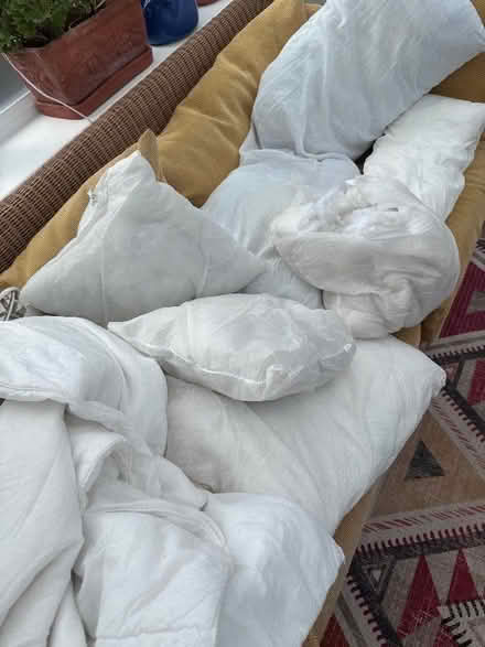 Photo of free Lots of synthetic stuffing - for new cushions or toys? (Florence Park OX4) #1