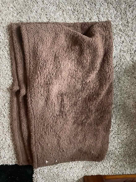Photo of free Fluffy blanket (Hove Station) #1