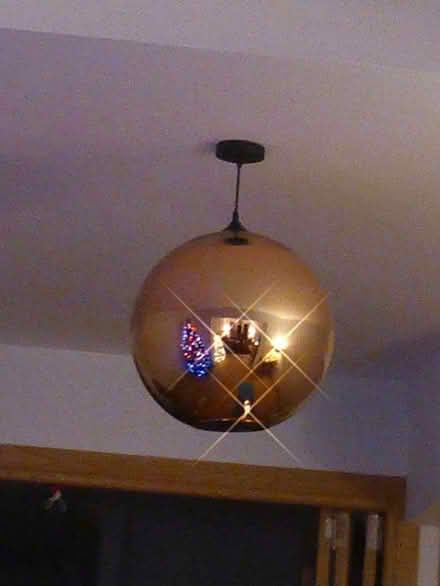 Photo of free 2 copper effect pendant lights approx. 40cm in diameter (CT9) #4