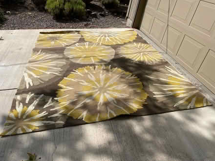 Photo of free Indoor/outdoor rug (Ashland above the hospital) #1
