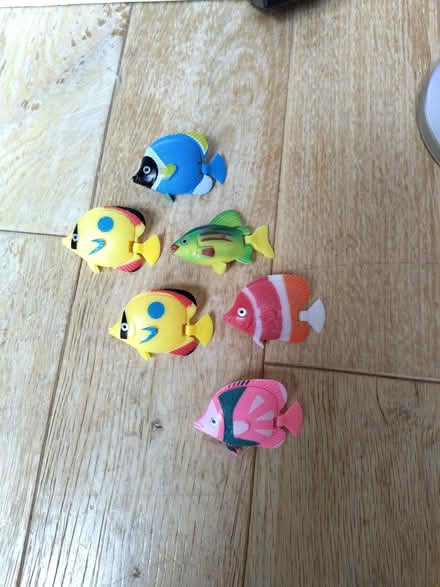 Photo of free Bubble lamp with 6 fish (High Heaton NE7) #2