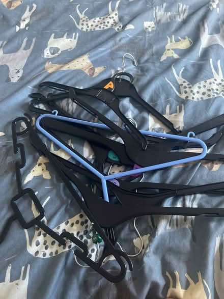 Photo of free Coat hangers (Thurton) #1
