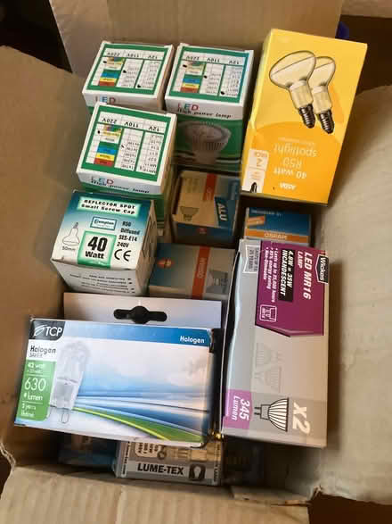 Photo of free Light bulbs (SE26) #1