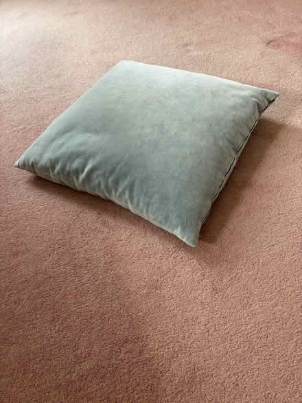Photo of free Soft Feather Velvet Cushion (Broxbourne EN10) #1