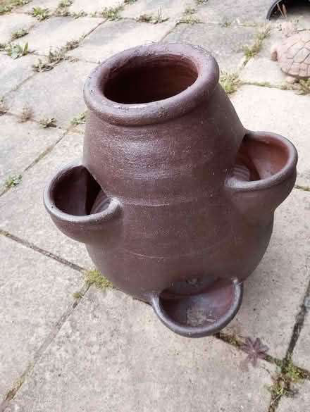 Photo of free plant pot lots of sections (Folksworth, Peterborough) #2