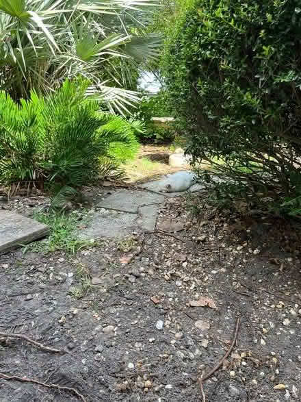 Photo of Canned cat food (Gulfport) #2