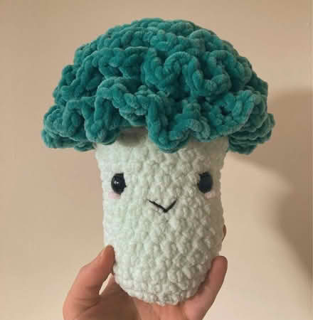 Photo of free Crochet Brocolli (Hemel) #1