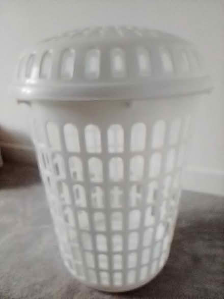Photo of free Laundry bin (Cloakham EX13) #1