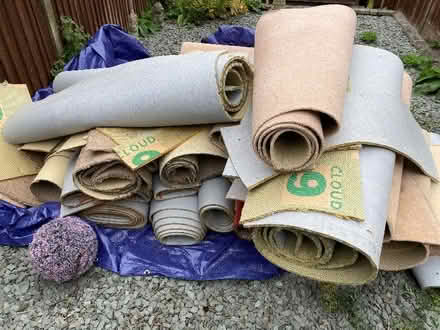 Photo of free House worth of carpet (Benslow SG4) #1