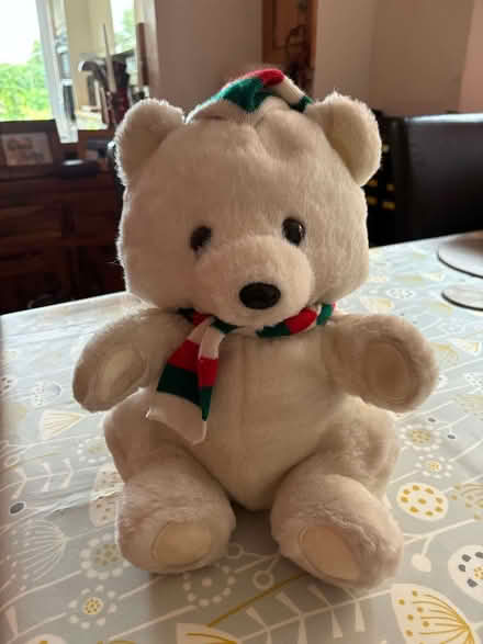 Photo of free Teddy Bear (Prime Ministers MK41) #1