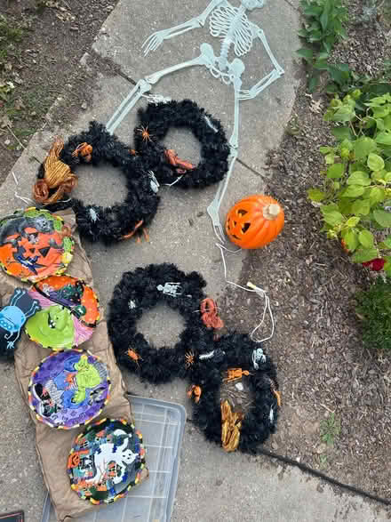 Photo of free Halloween decorations (Woodfield Rd & Airpark) #3