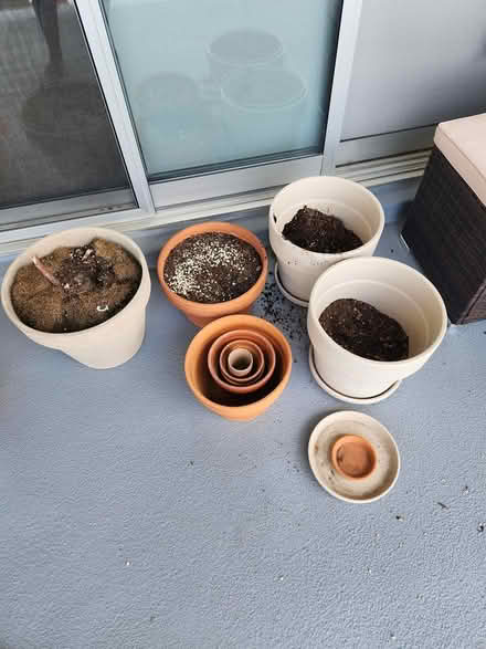 Photo of free Assortment Plant Pots (Fort Lee NJ) #1