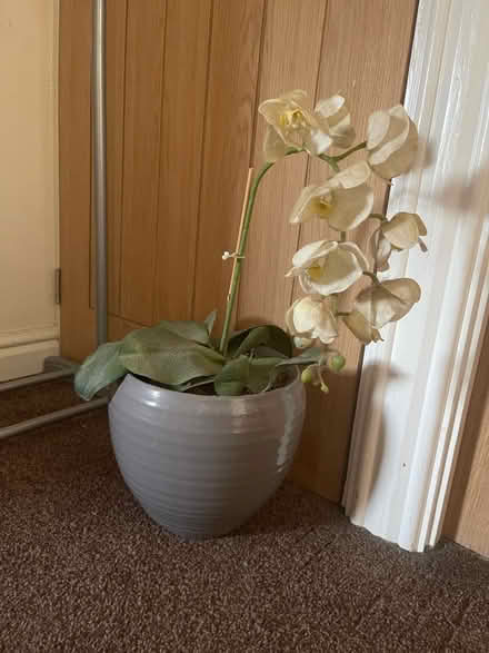 Photo of free Large artificial plant in grey pot (Tameside SK14) #2