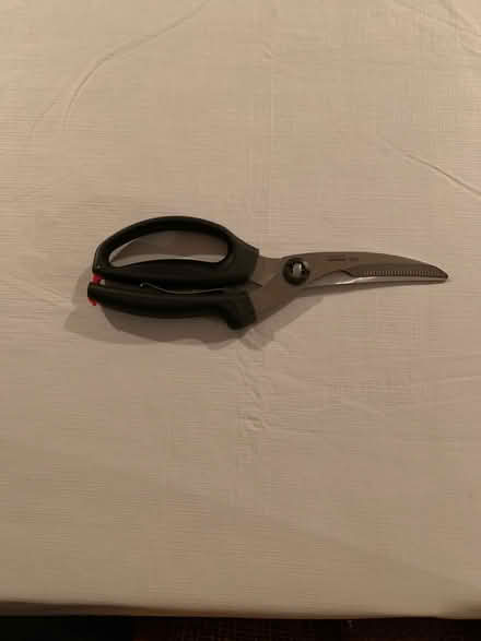 Photo of free Poultry Shears (Cupertino) #1