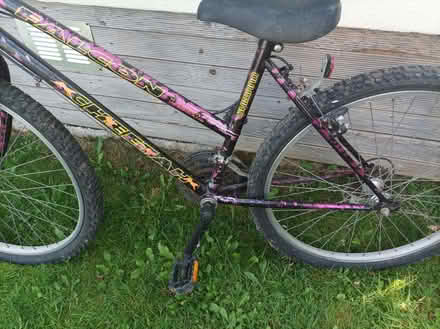 Photo of free Bike (Wookey Hole BA5) #4