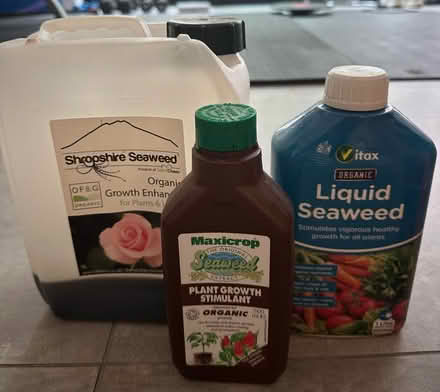 Photo of free Garden and Potted Plant supplies (Muswell Hill) #2