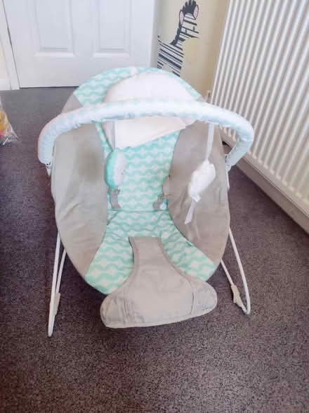 Photo of free Baby bouncer (Tadley, RG26) #1