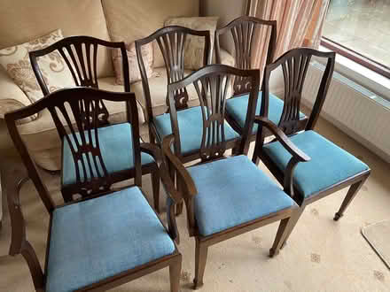 Photo of free Dining chairs (Kendal LA9) #1