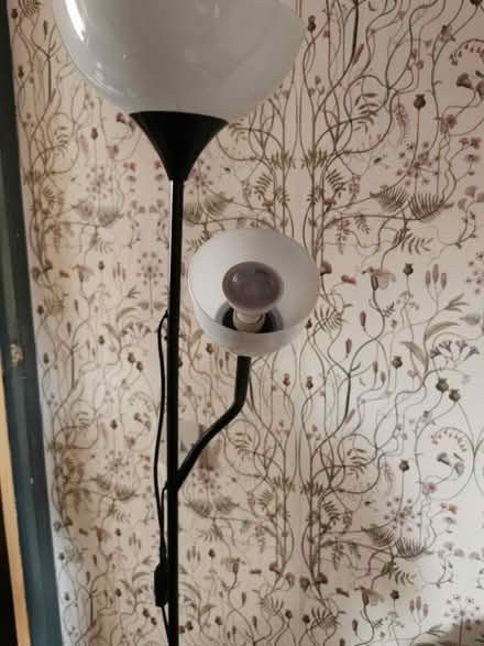 Photo of free Ikea floor lamp (Haresfinch) #1