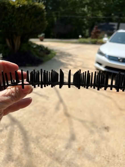Photo of free Plastic Scat Matt ; small animals (Near Greer High school) #2