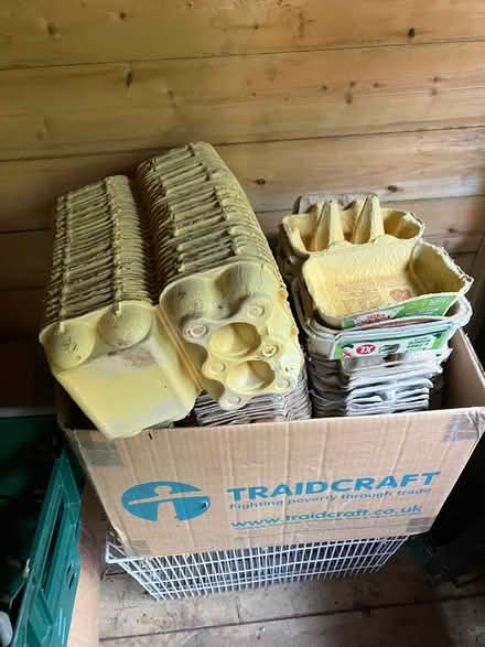 Photo of free Egg boxes (SY6) #1