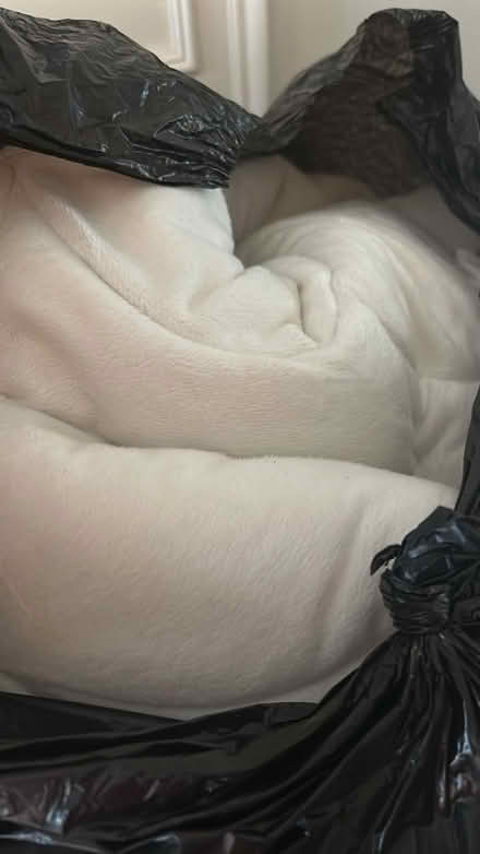 Photo of free Fluffy king size mattress topper (CT5) #1