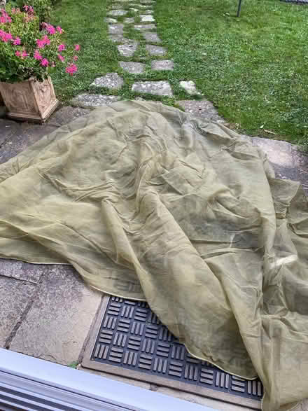 Photo of free Fruit tree net (AL5 Harpenden) #1