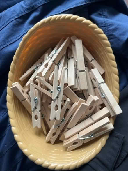 Photo of free Wooden pegs (Dunkirk NG7) #1