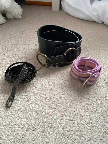 Photo of free Women’s Belts x 3 - Suit 8-12 (Coventry CV5) #1