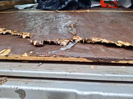 Photo of free osb board × 2 (Liversedge) #1