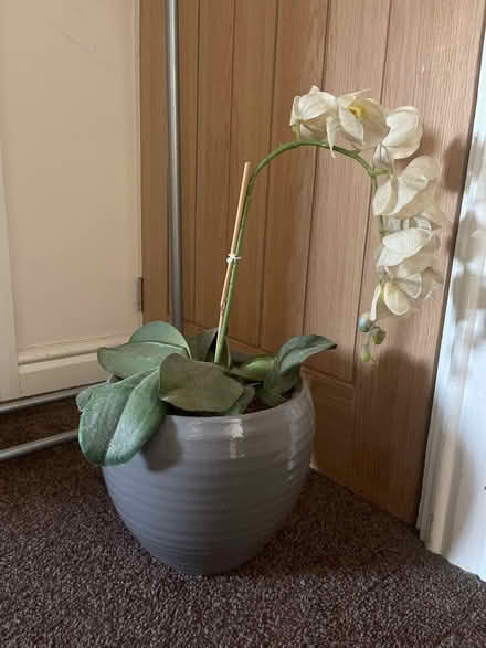 Photo of free Large artificial plant in grey pot (Tameside SK14) #1
