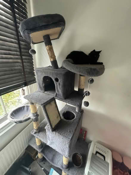Photo of free Grey Cat Condo with Hammock & Pompoms (E8) #1