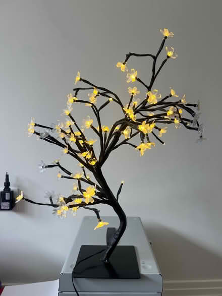 Photo of free LED ‘cherry blossom’ lamp (Weybridge KT13) #1